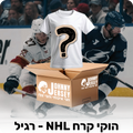מיסטרי בוקס - הוקי קרח NHL (רגיל)