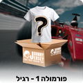 מיסטרי בוקס - פורמולה 1 (רגיל)